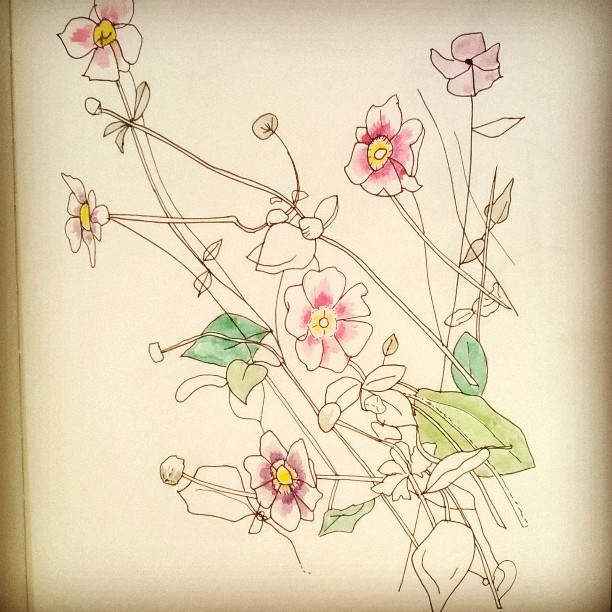 Coloured Flower Doodle